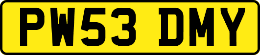 PW53DMY