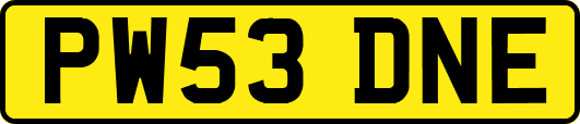PW53DNE