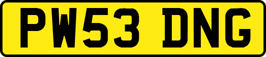 PW53DNG