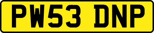 PW53DNP