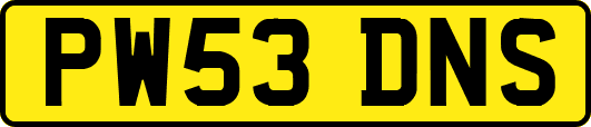 PW53DNS