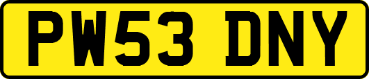 PW53DNY