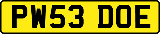 PW53DOE