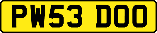 PW53DOO