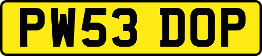 PW53DOP