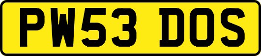 PW53DOS