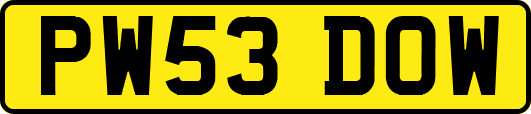 PW53DOW