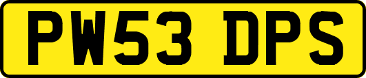 PW53DPS