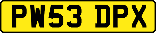 PW53DPX