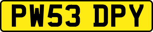 PW53DPY