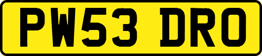 PW53DRO