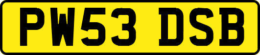 PW53DSB