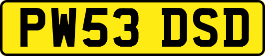 PW53DSD