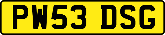 PW53DSG
