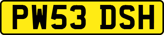 PW53DSH