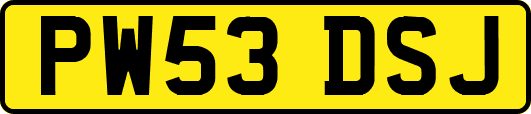 PW53DSJ
