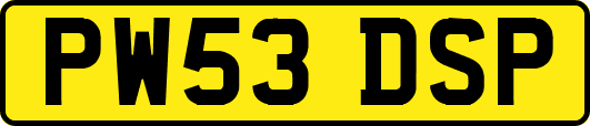 PW53DSP