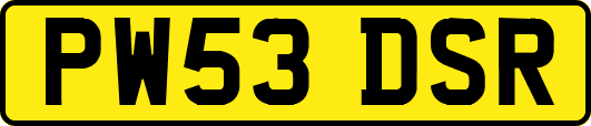 PW53DSR