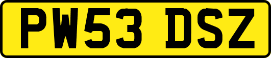 PW53DSZ