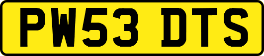 PW53DTS