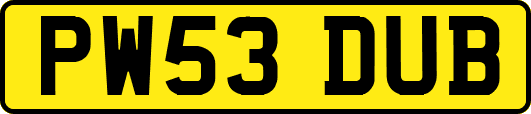 PW53DUB