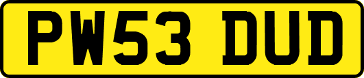 PW53DUD