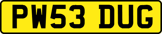 PW53DUG