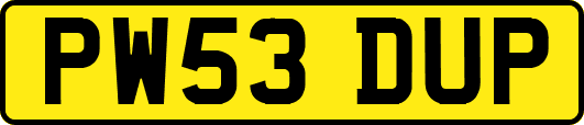 PW53DUP