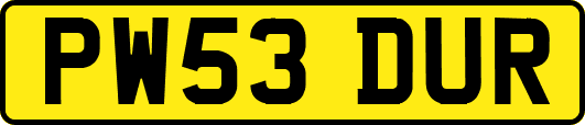 PW53DUR