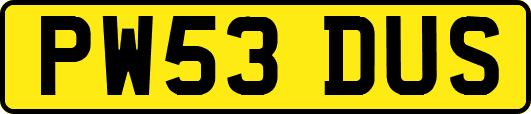 PW53DUS
