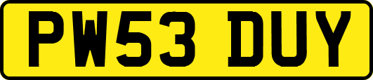 PW53DUY
