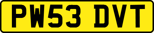 PW53DVT