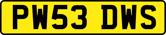 PW53DWS