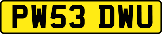 PW53DWU