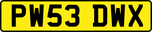 PW53DWX