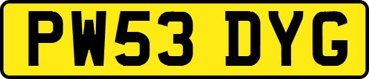 PW53DYG