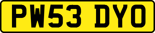 PW53DYO