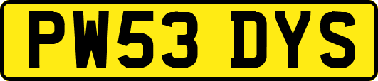 PW53DYS