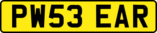 PW53EAR