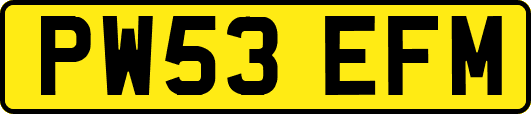 PW53EFM