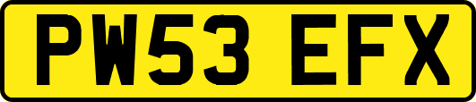 PW53EFX