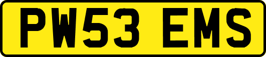 PW53EMS