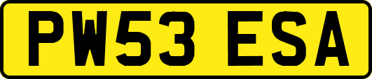 PW53ESA
