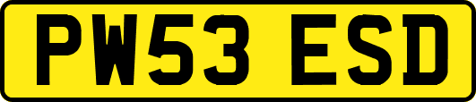 PW53ESD