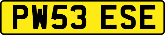 PW53ESE
