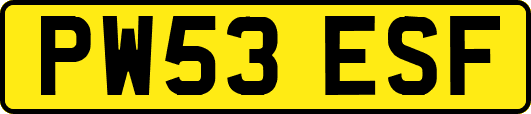 PW53ESF