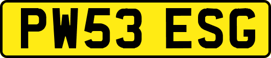 PW53ESG