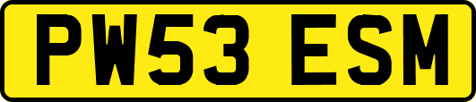 PW53ESM