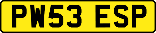 PW53ESP
