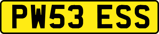PW53ESS
